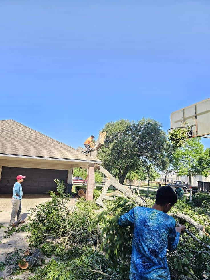 Kiker Tree Services owner portrait