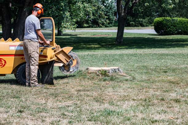 Mulching services