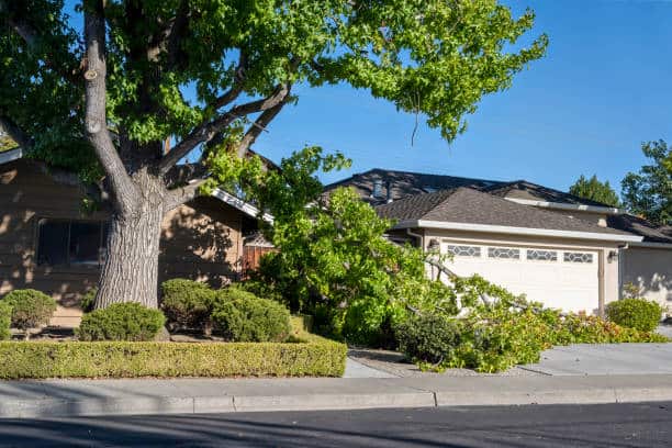 Storm damage clean-up